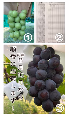 みんなの投稿の画像