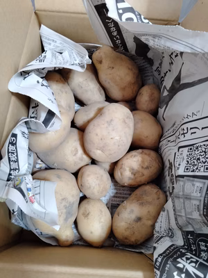 みんなの投稿の画像