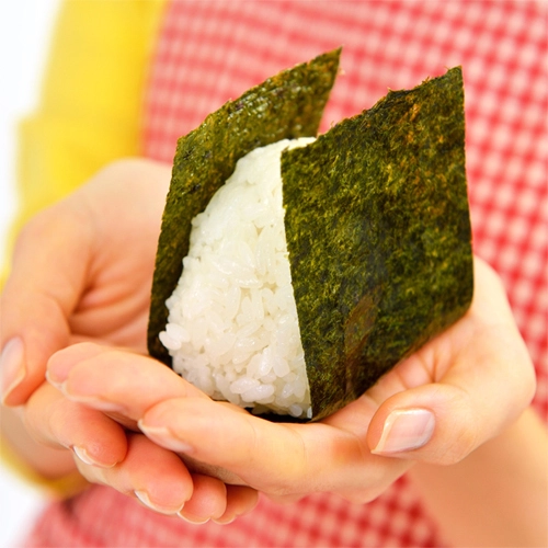 [新米]   新潟県産　こしいぶき10ｋｇ（白米）　令和5年産