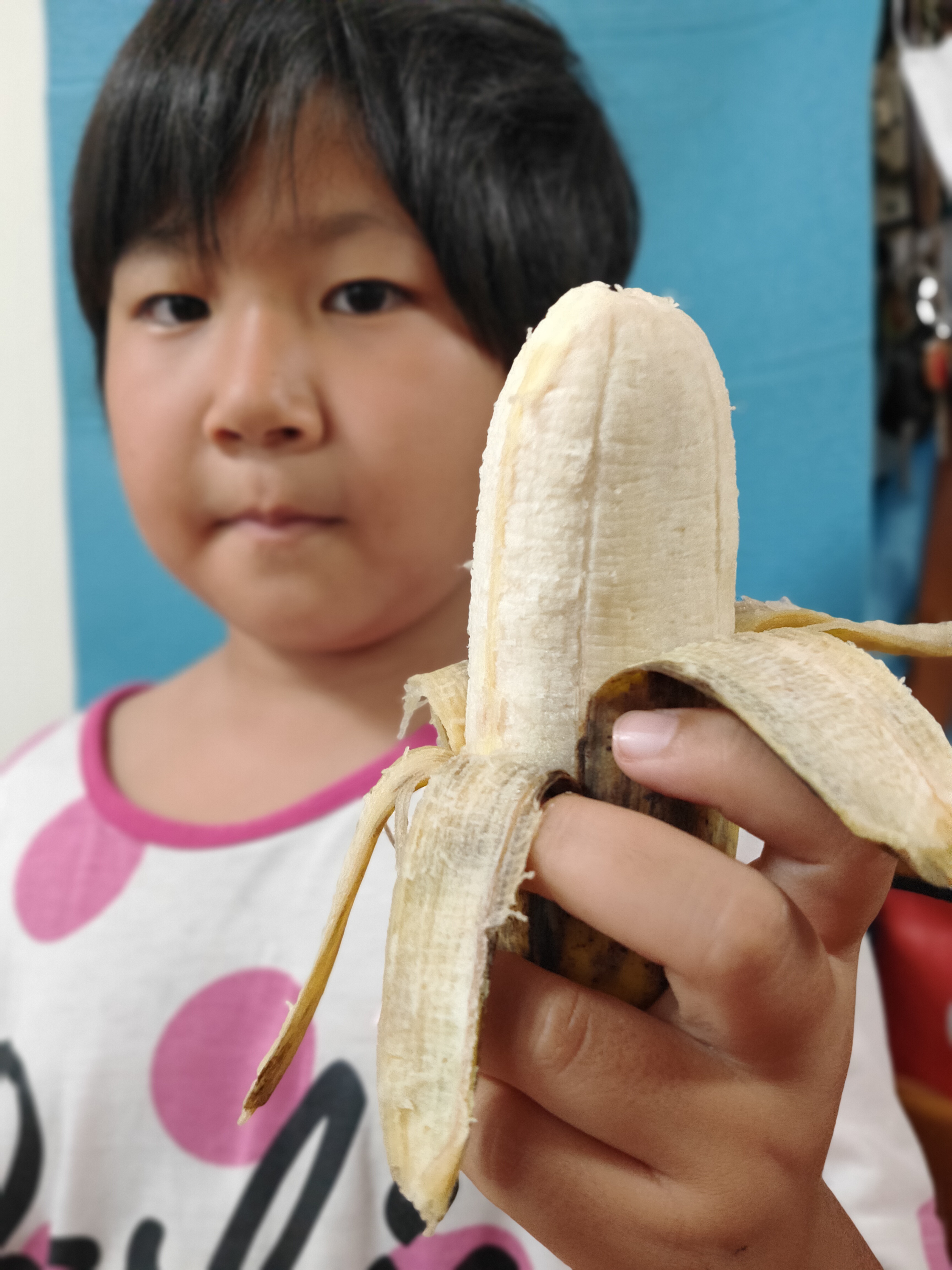 沖縄産 むっちりばなな（アップルバナナ） 1kg｜バナナの商品