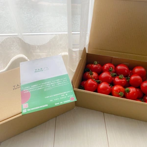 フルーツトマト　フルティカ　2.4kg 箱入り （2箱）
