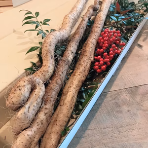 【自然薯】もっちりと粘り強い！　贈答用・ご家庭用　80サイズ送料