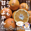 まさに完熟！とっても甘いよかん【農薬不使用】