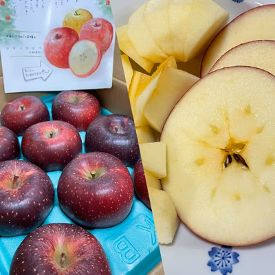 みんなの投稿の画像