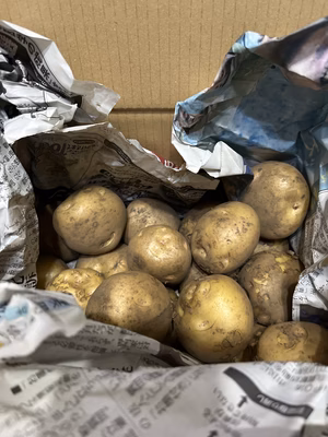 みんなの投稿の画像