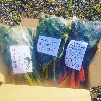 みんなの投稿の画像