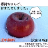 【最終便！送料無料！】春待ちりんご（訳あり　9kg）　大放出セール！！