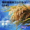 大地の恵みいっぱい【特別栽培米】コシヒカリ白米