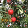 酸味の中に甘さもある、岩手江刺産ジョナゴールド5キロ・家庭用