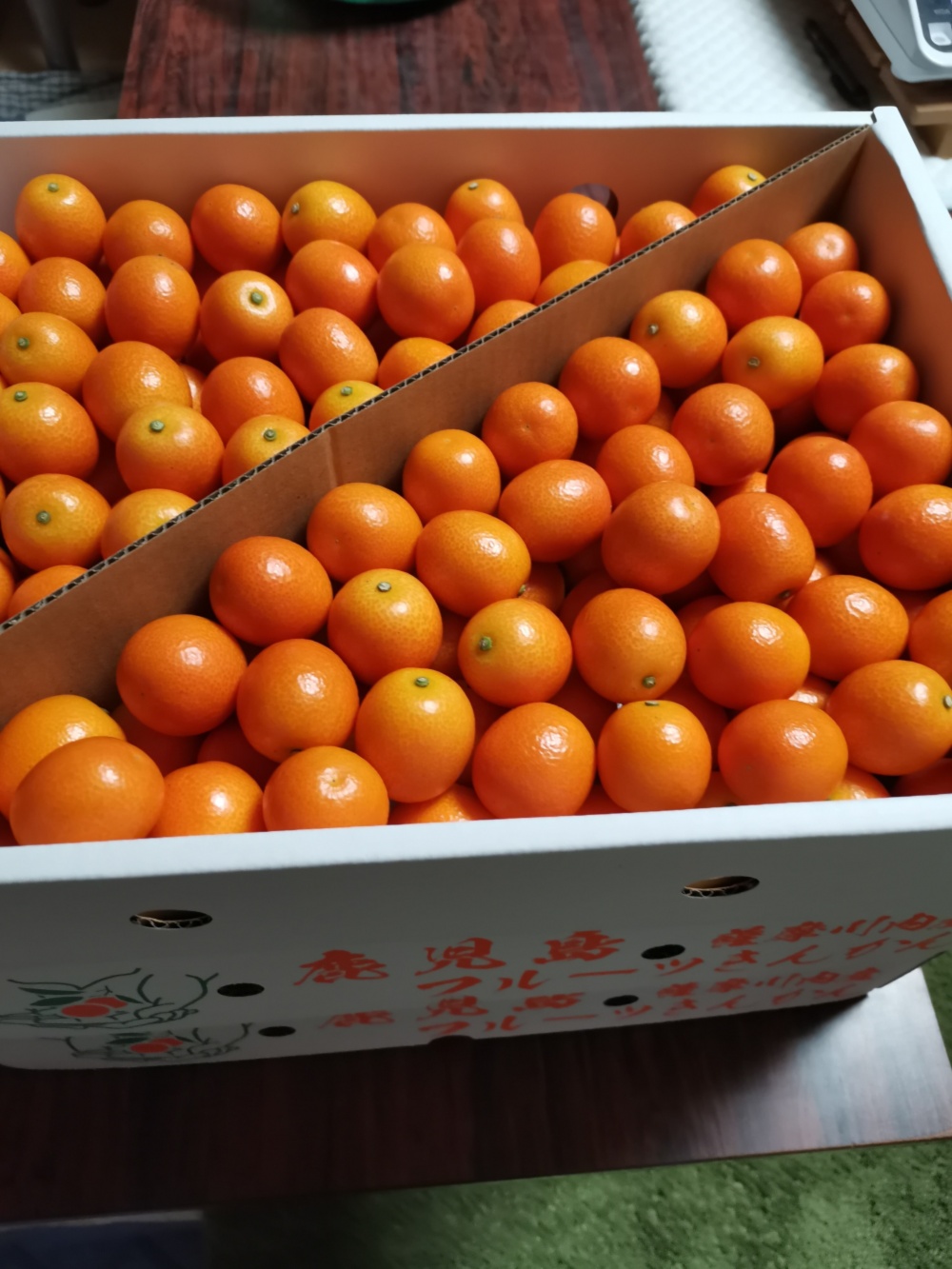 フルーツ金柑 L以上（3キロ）｜きんかんの商品詳細｜ポケットマルシェ