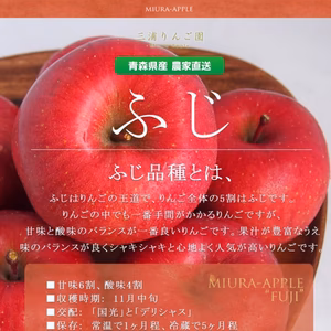 家庭用サンふじ