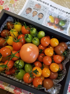 みんなの投稿の画像