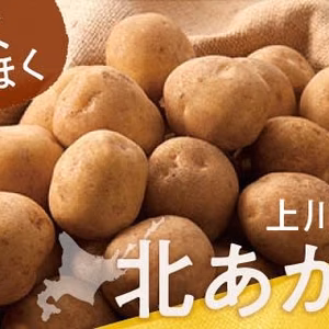 北海道産じゃがいも　北あかり(岸田農園産)