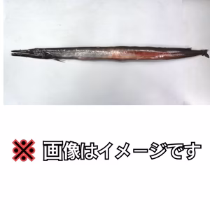 【珍魚】ミズウオダマシ 【奇食】オマケ付き