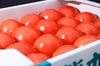 受賞歴３回！ソムリエトマト４kg（18玉～28玉)