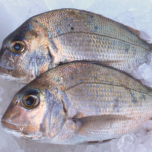 宮崎県の漁師が育てた普通の『鯛』