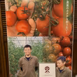 田中明将
