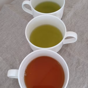 3袋セット｜暮らしに寄り添う3つのお茶｜しずおか金谷茶