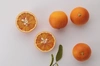 果汁たっぷりでしっとりとした食感♪　柑橘ジェラート5個セット