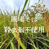 農業学校の学生と作った【コシヒカリ】白米/無洗米/分搗き/玄米　令和4年産