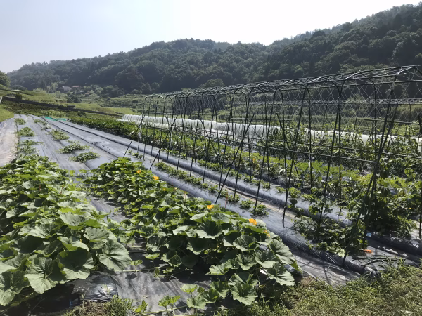 健託農場