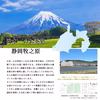 【送料無料・おまとめ割中】一番茶のみ使用！水出し専用深蒸し茶 