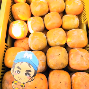 美味しいと人気♪ まーくん家のたねなし柿(´ｰ｀)