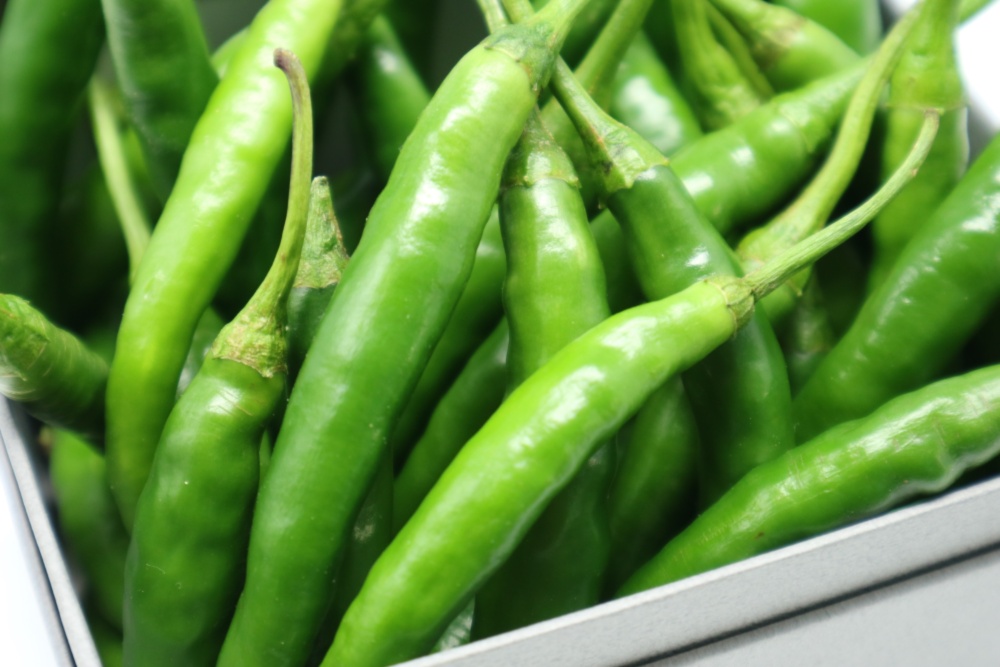 青唐辛子　ホットパラソルex １０キロ 限定価格⭐︎激辛青唐辛子ホットパラソルex - メルカリ