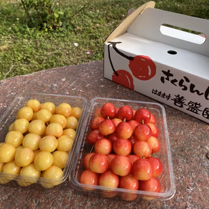 北海道　旬の味覚　月山錦と南陽セット　２Ｌ以上