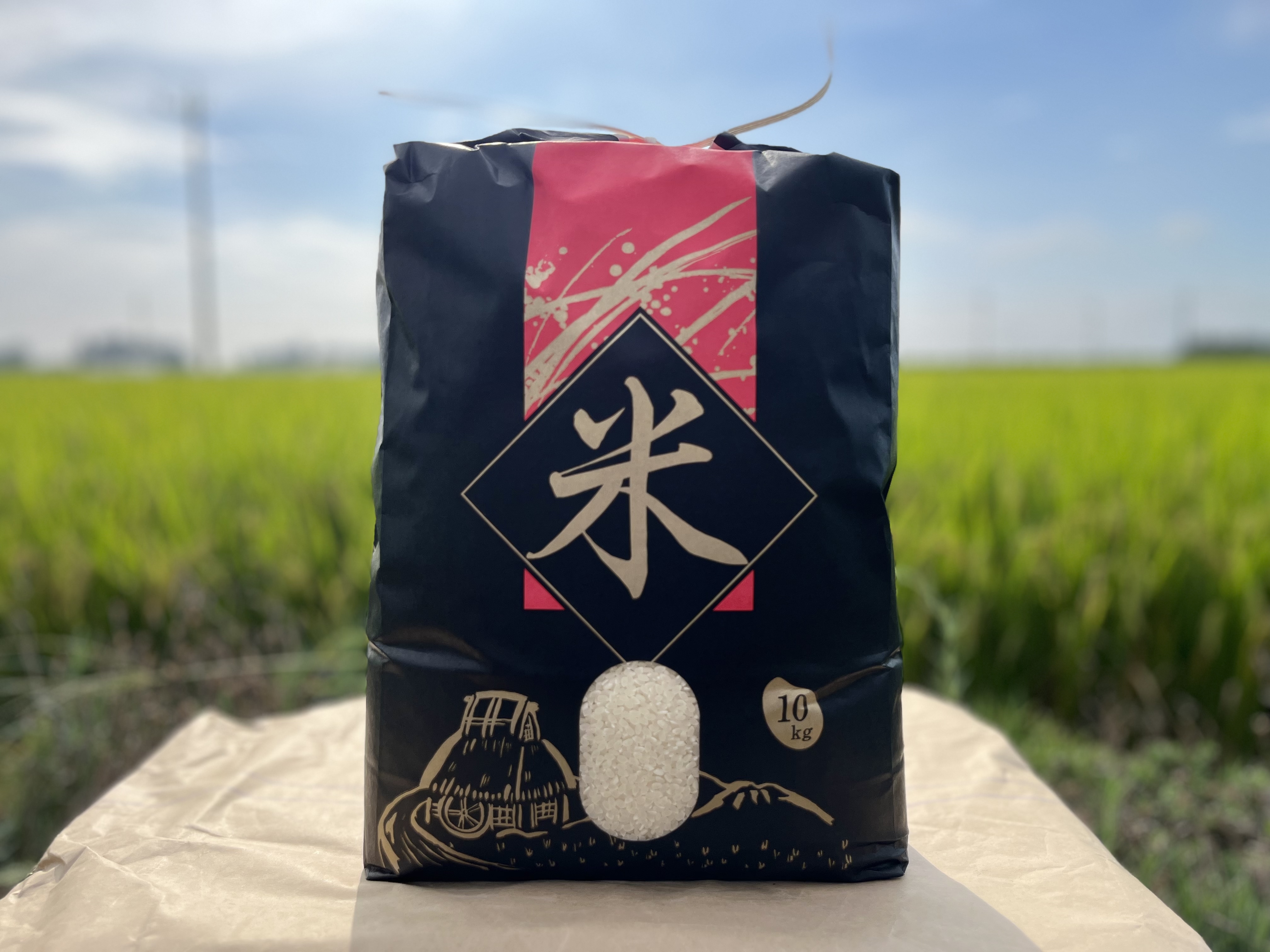 那須山麓ミネラル米 栃木県那須塩原市産コシヒカリ 10kg｜白米の商品