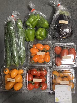 みんなの投稿の画像