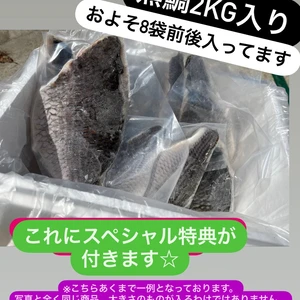 【冷凍】黒鯛　2kg ☆スペシャル特典付き☆