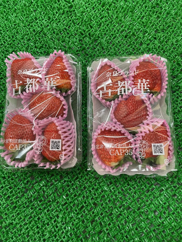 奈良県ブランドいちご(古都華)5〜6粒✖️2パック大粒　クール便発送
