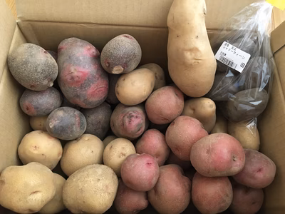 みんなの投稿の画像