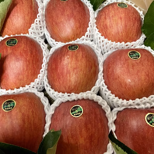 【希少！上品の極み！】あいかの香り　最高級　5キロ