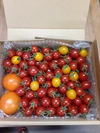 宮島農園の完熟ミニトマトと希少GABA2玉入り１kg