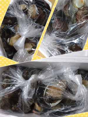 みんなの投稿の画像