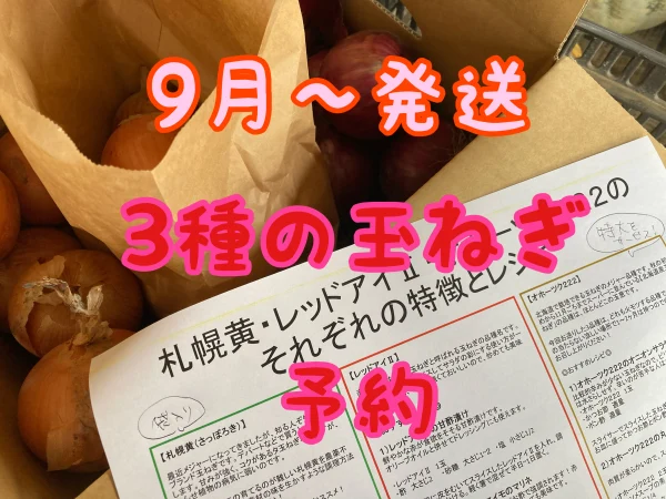札幌黄・オホーツク222・レッドアイⅡ食べ比べ