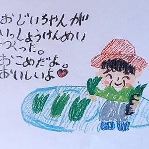 【令和４年産】愛媛県産あきたこまち　玄米
