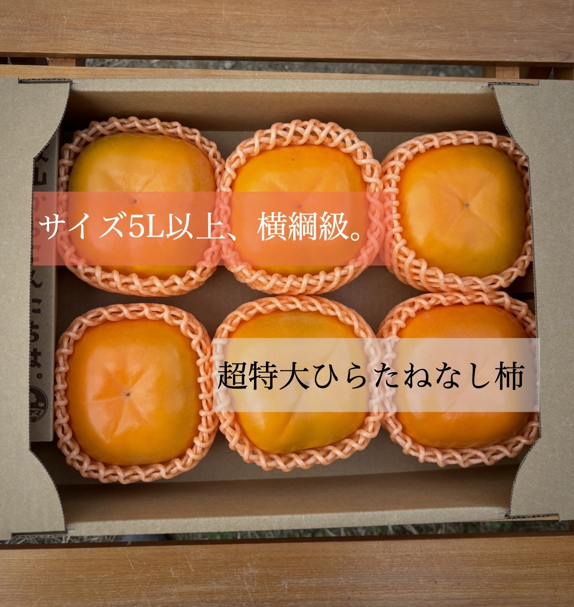 [送料500円引き]どすこい!大きさ横綱級。 超特大ひらたねなし柿 5L以上6玉入り