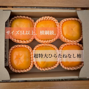 【送料500円引き】どすこい！大きさ横綱級。 超特大ひらたねなし柿