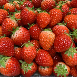 さぬきひめサイズバラ　2キロ　