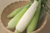 生で食べられる雪のような白いトウモロコシ