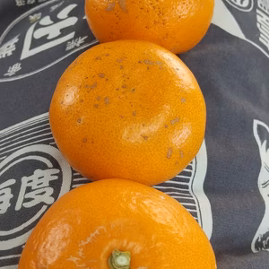 今季ラスト B級品 そばかすせとか 5kg・10kg