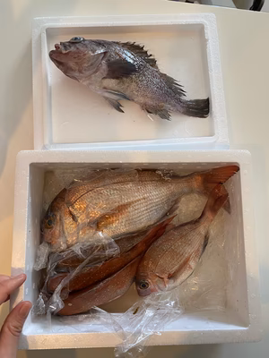 みんなの投稿の画像