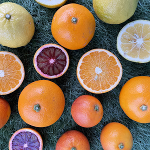 【オーガニックな宝石箱！！】柑橘農家オススメ 3種　お試しBOX 約 3キロ