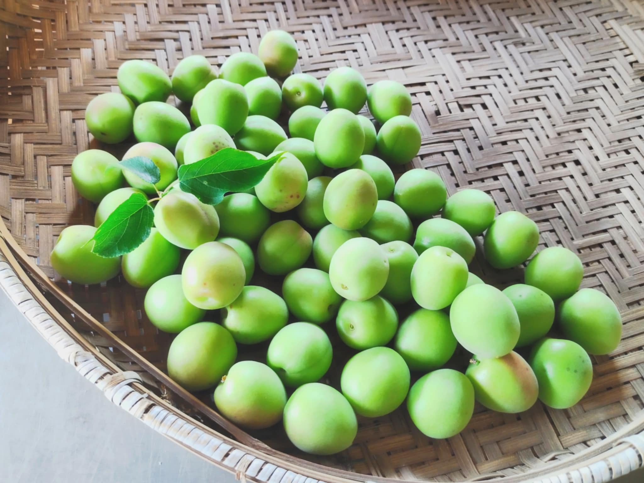 爽やかな酸味と香り 青梅[自然栽培] 青梅1kg