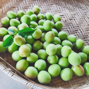 爽やかな酸味と香り　青梅【自然栽培】