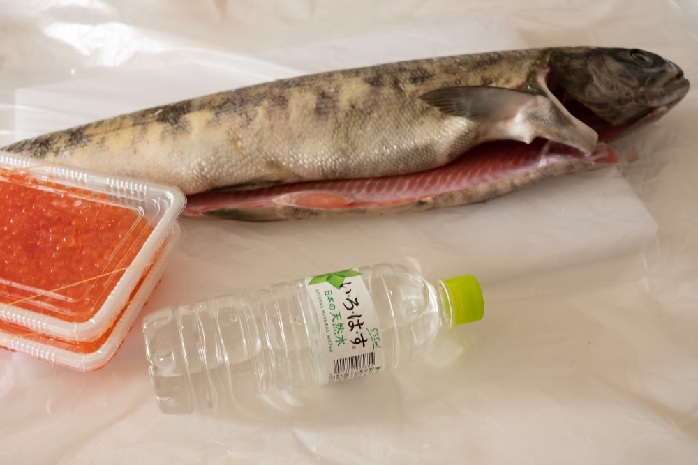 初めてでもなんとかできた北海道の秋鮭の捌き方 本物の親子丼を食べるために 農家漁師から産地直送の通販 ポケットマルシェ