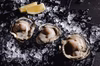 スミノエ牡蠣（冷凍・加熱用）2kg【好評につき再販！少量パック登場】
